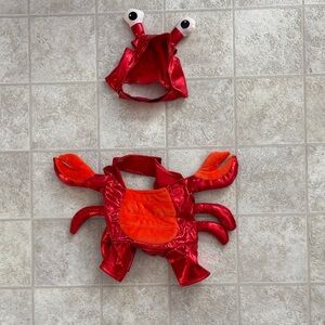 Crab Costume
